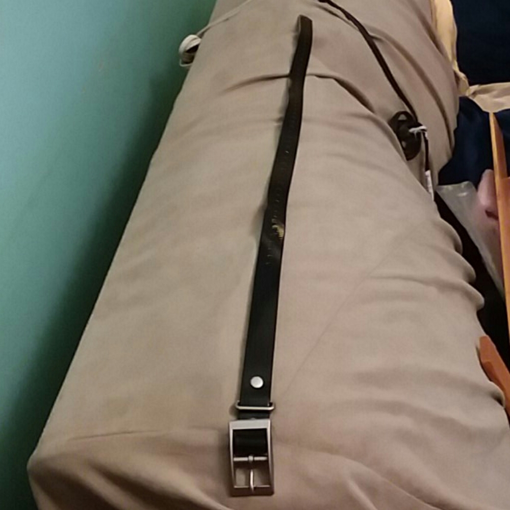 27 in Dog Collar